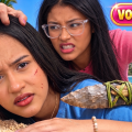 Angi Fire vs La hermana de la Pelo en Pausa